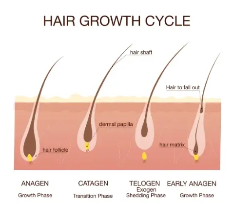 5 Best Non Prescription Hair Loss Treatments for Men